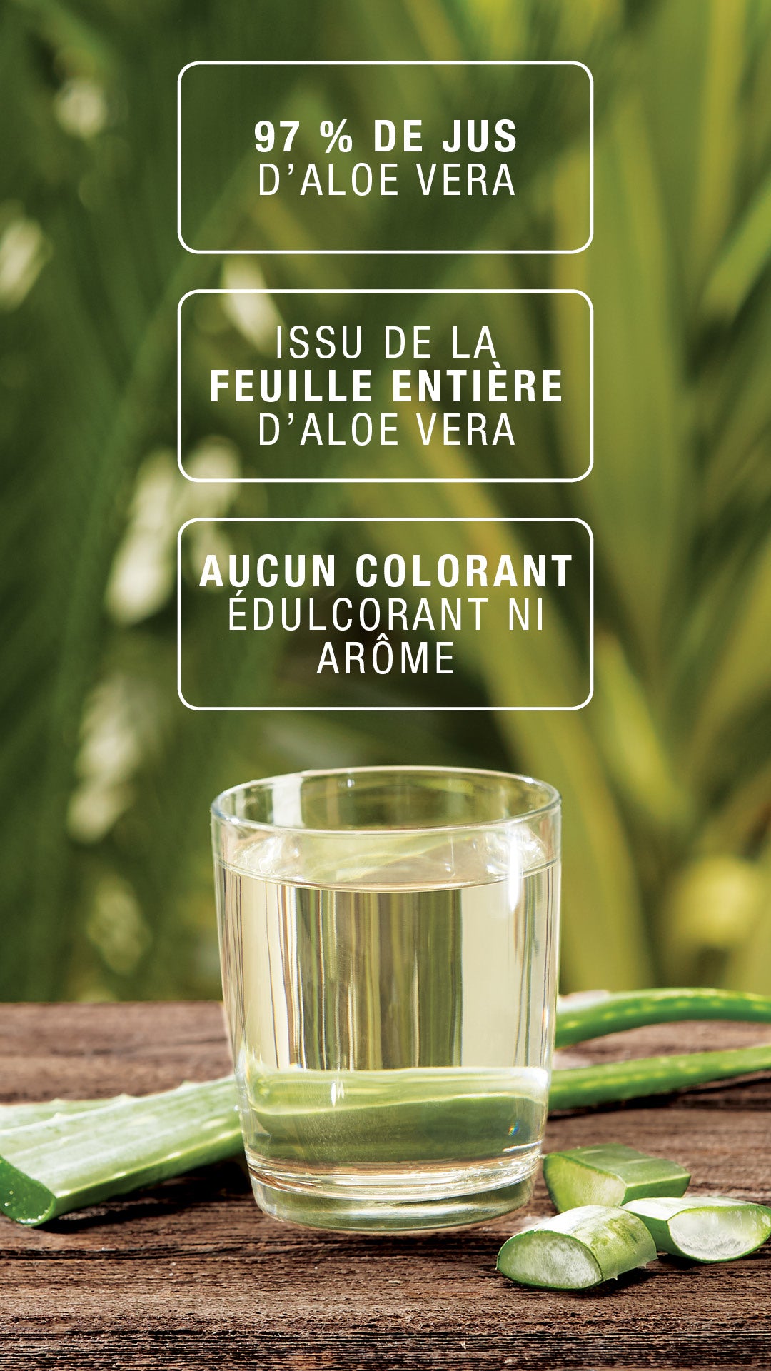 Herbalife AloeMax 473 ml